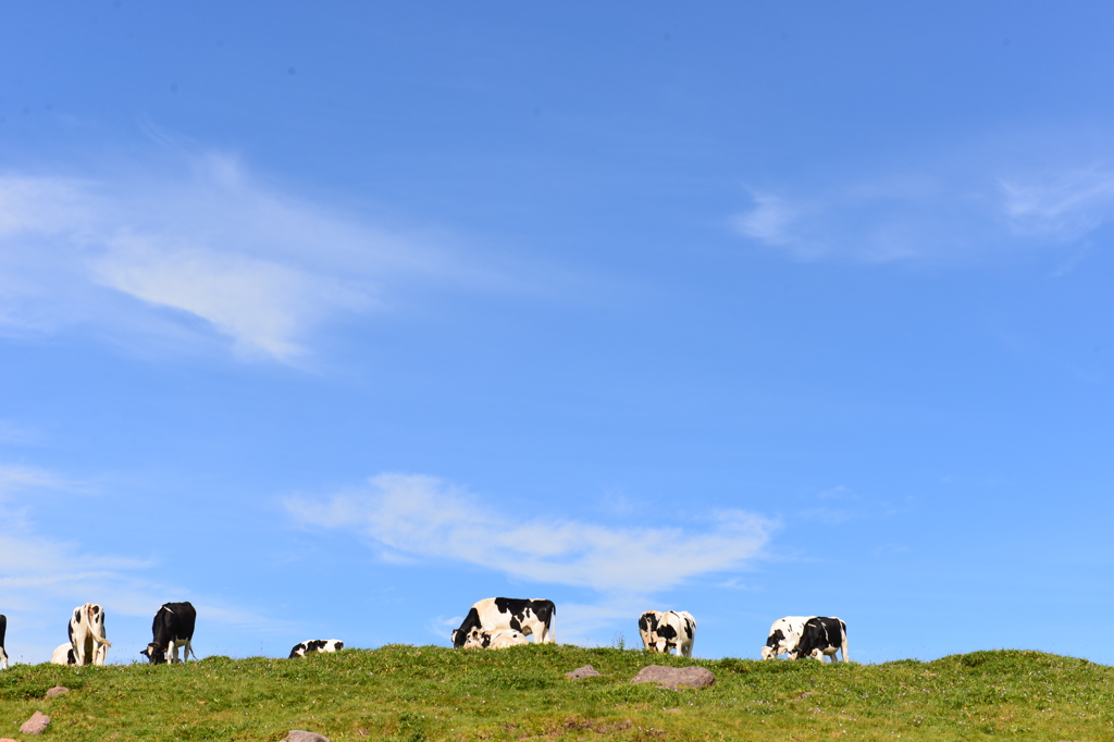 美ヶ原高原の朝食