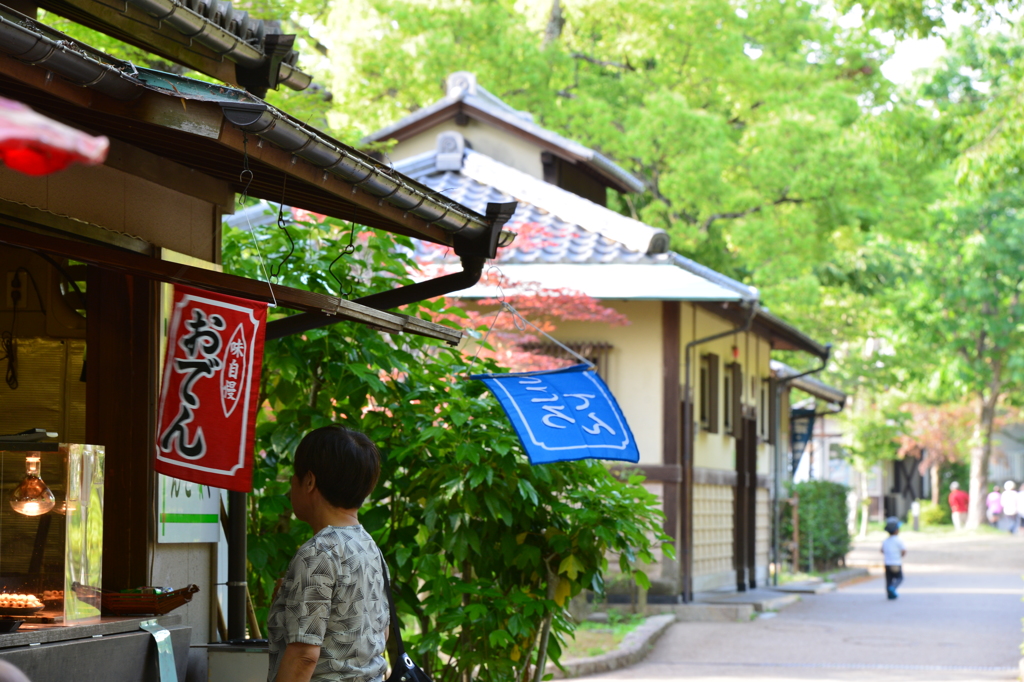 公園の日常