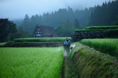 世界遺産の片隅で　夏の草刈り編