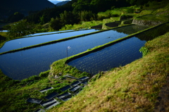 坂折棚田　田植えのあと