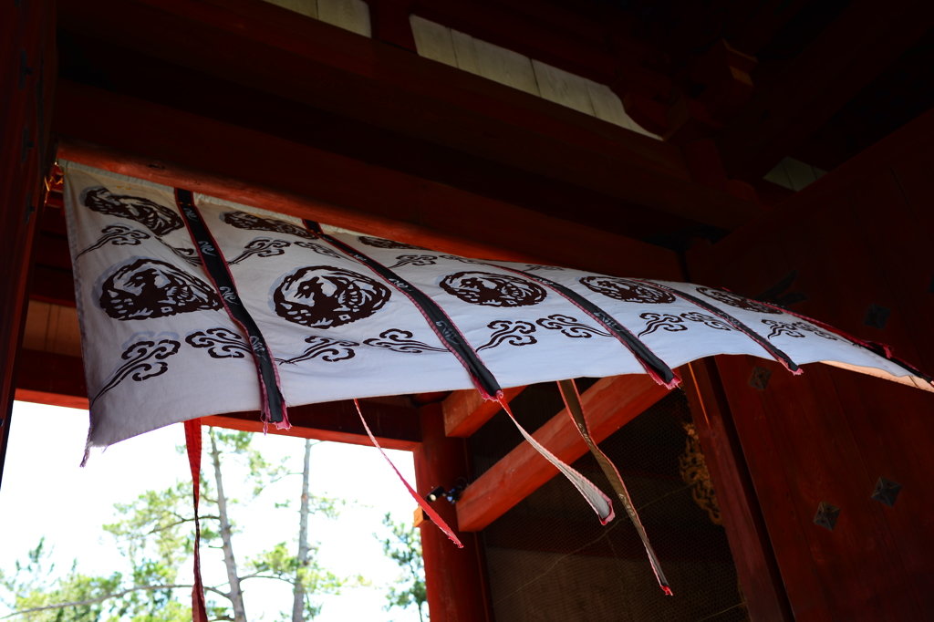 東大寺の風