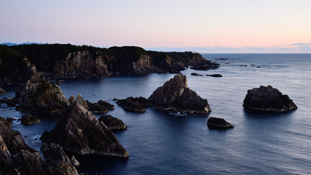 海金剛の朝