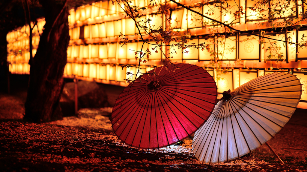 夜桜☆岐阜和傘２