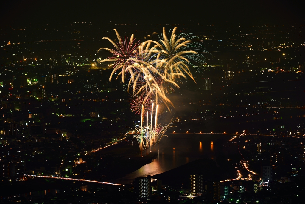 岐阜の夜空に舞う　１