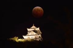岐阜城と赤いお月さん