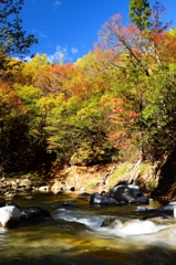 荘川の秋景色