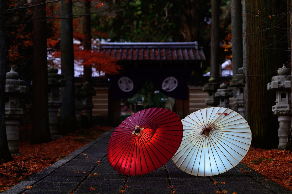 大智寺の遅い秋