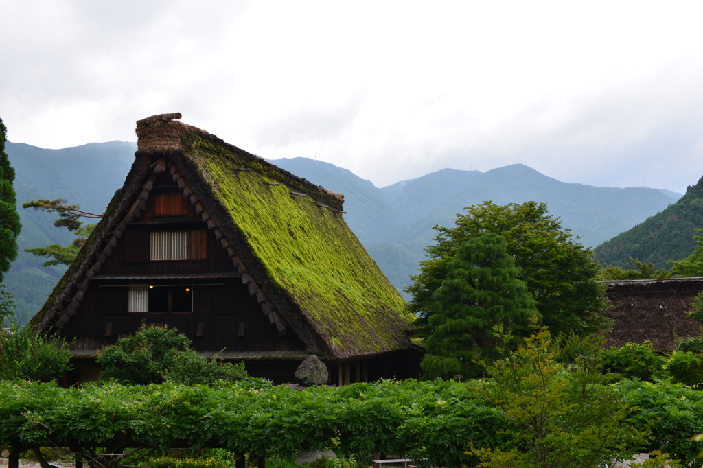 外から失礼しました