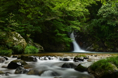 紅葉滝流れだし