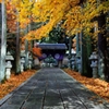 落ち葉の大智寺２
