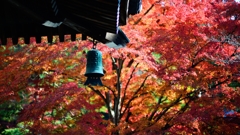 京の秋は綺麗だった８