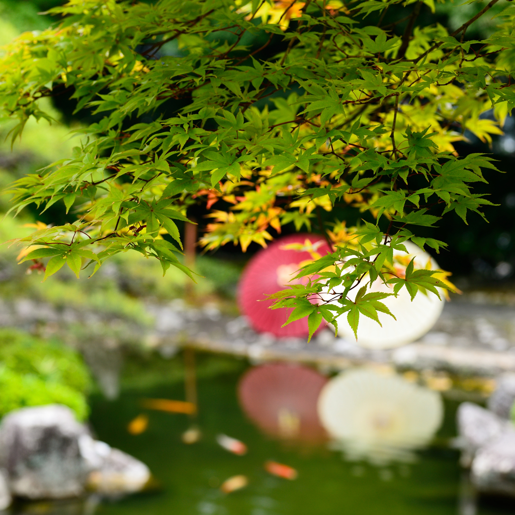 岩井山延算寺　２