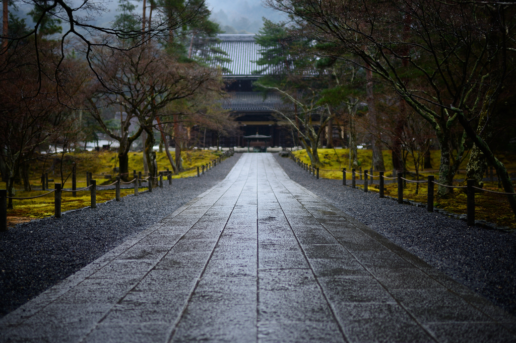 南禅寺独り占め