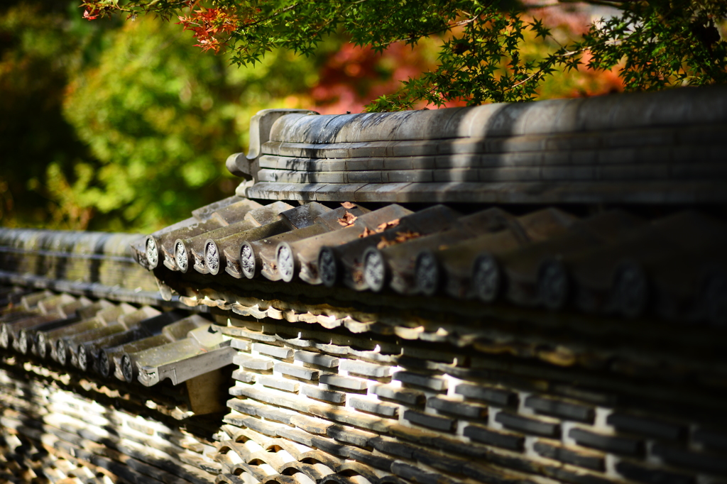 秋の大智寺１