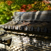 秋の大智寺１