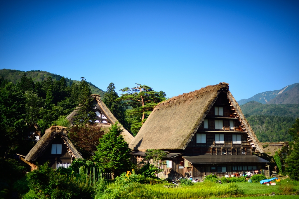 白川郷　夏の朝　４