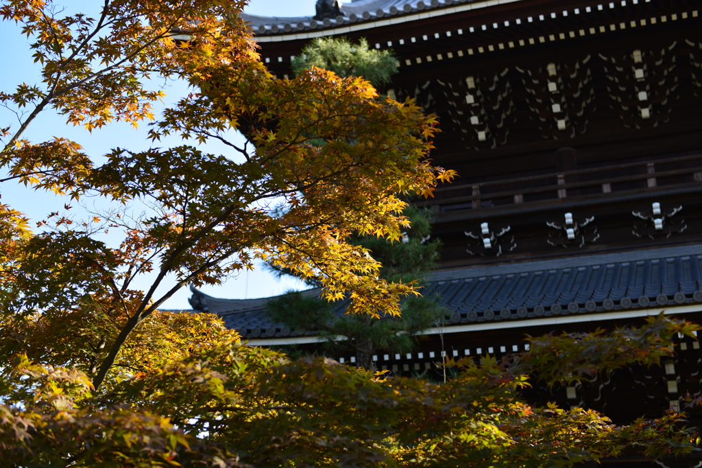 金戒光明寺
