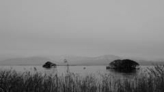 冬の琵琶湖　湖北３