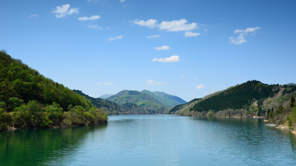 新緑の九頭竜湖