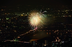 岐阜の夜空に舞う　２