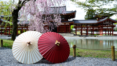 平等院☆岐阜和傘