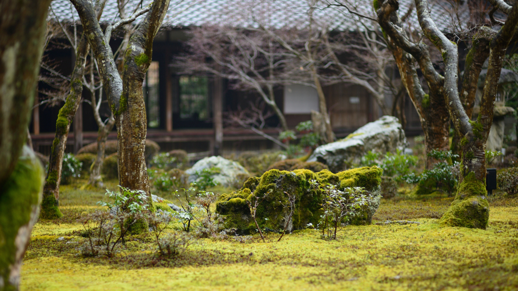 圓光寺３