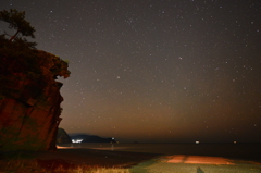 獅子の見つめる夜空