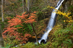 宇津江四十八滝　王滝の横