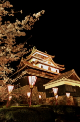 夜桜松江城