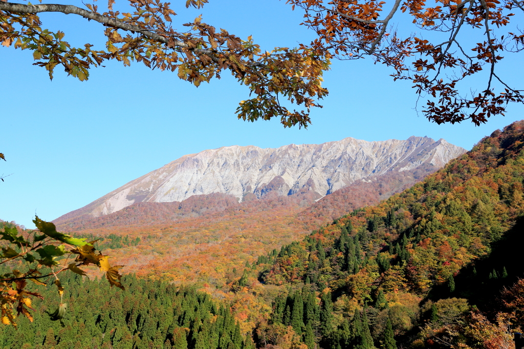 鍵かけ峠からの大山紅葉