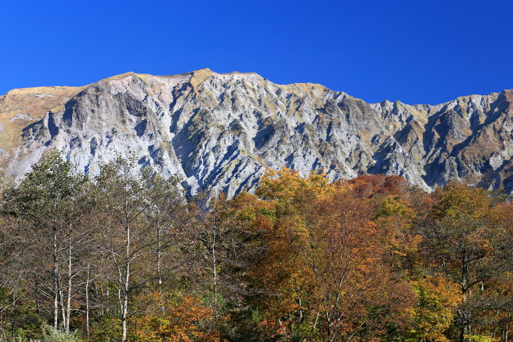 大山紅葉