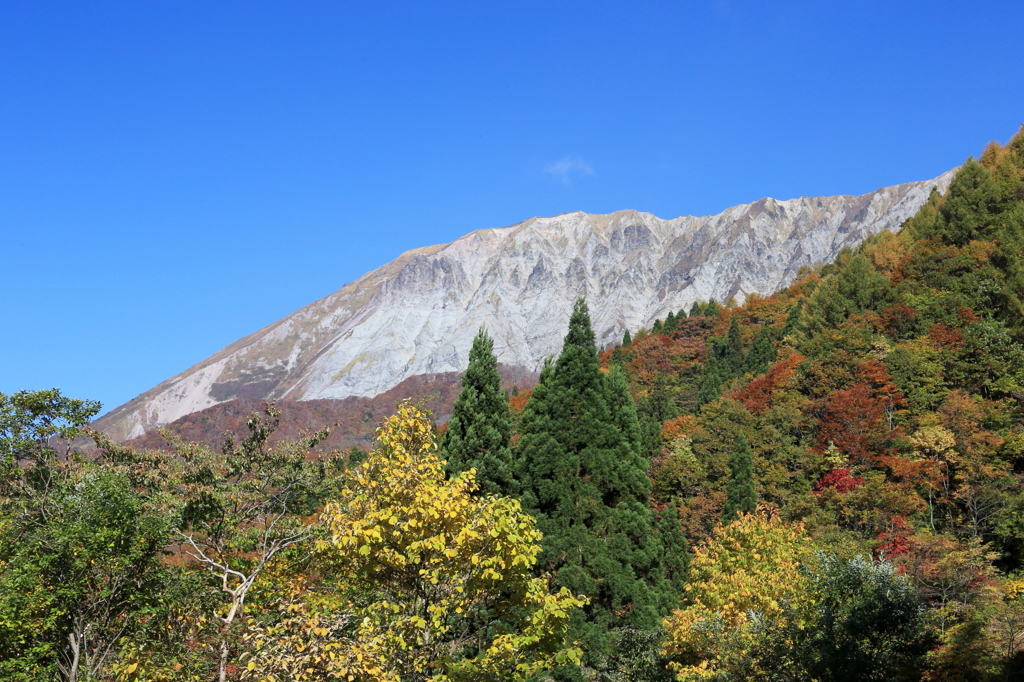 鍵かけ峠からの大山紅葉