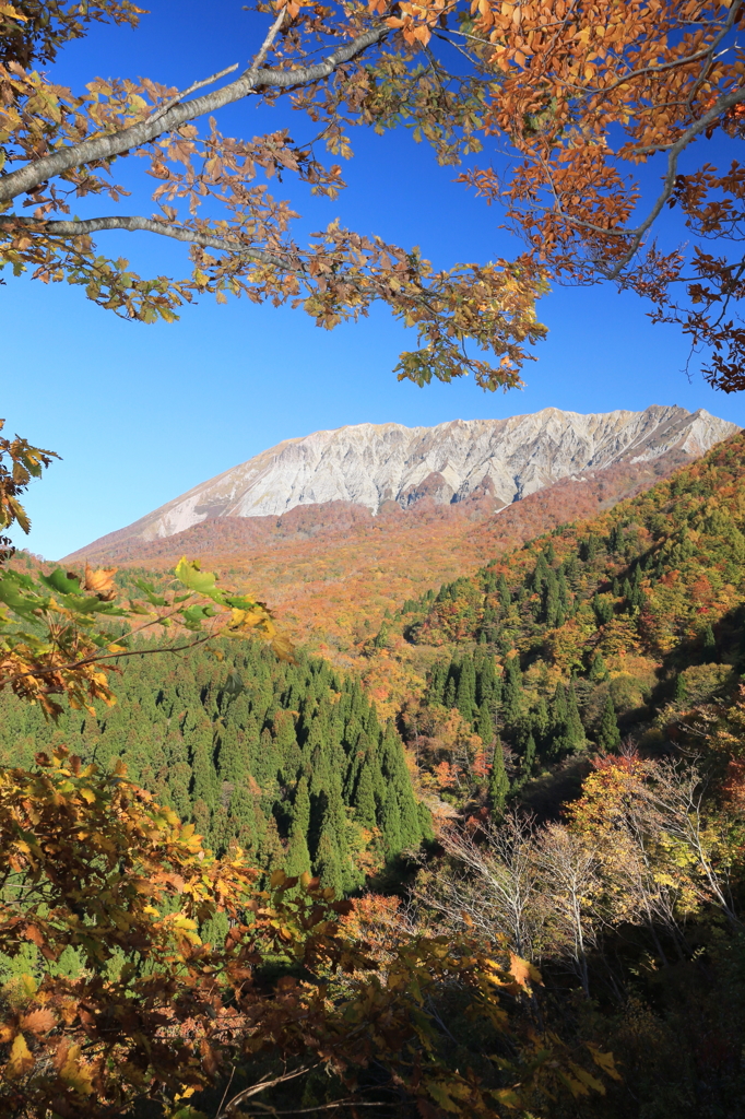 鍵かけ峠からの大山紅葉