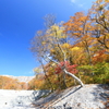 大山三の沢紅葉