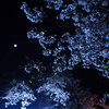 Moon Light