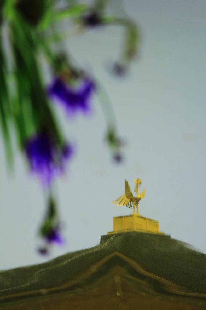 水鏡