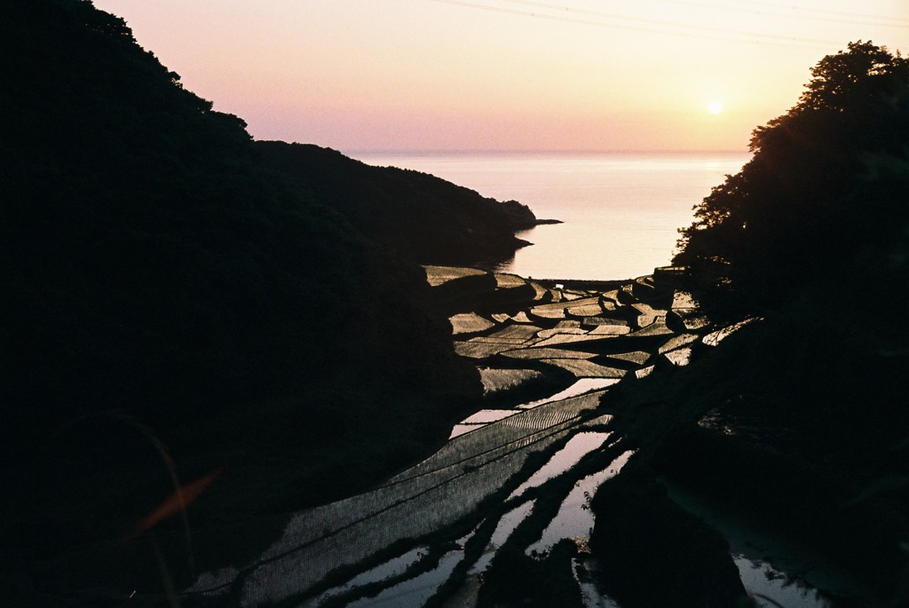 浜野浦の棚田