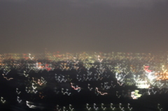 ＪＪＪな夜景