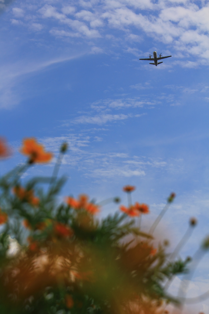 秋空