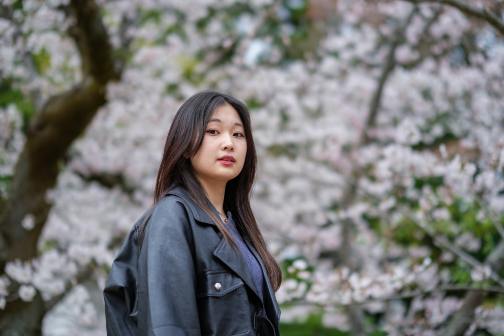 功山寺の桜が満開