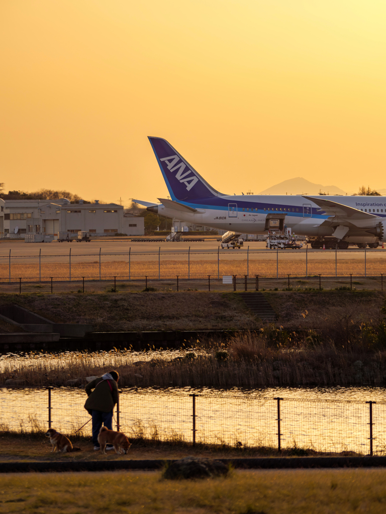 暮れなずむ空港の光と影