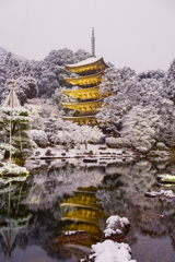 輝く瑠璃光寺五重塔