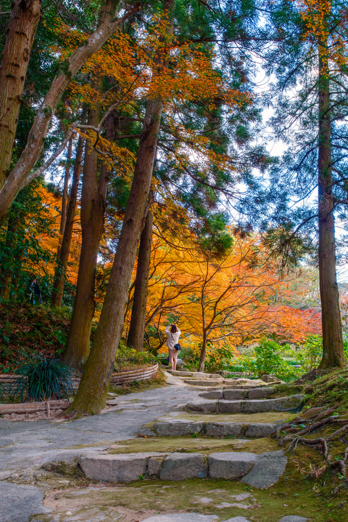 黄色もいいよね