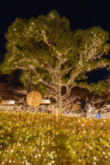 小倉イルミネーション