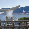 陸のクジラ