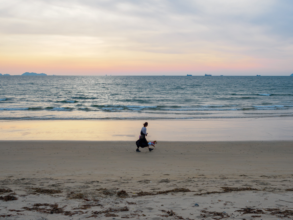 砂浜散歩