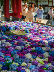 花手水