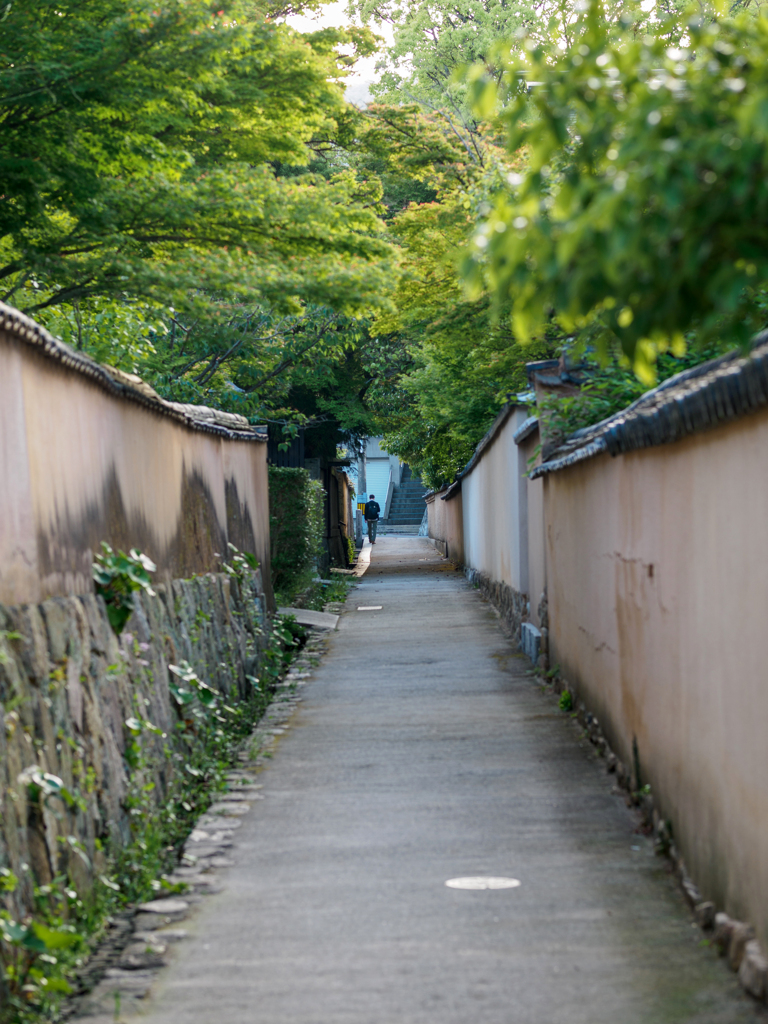 土塀と緑に包まれて