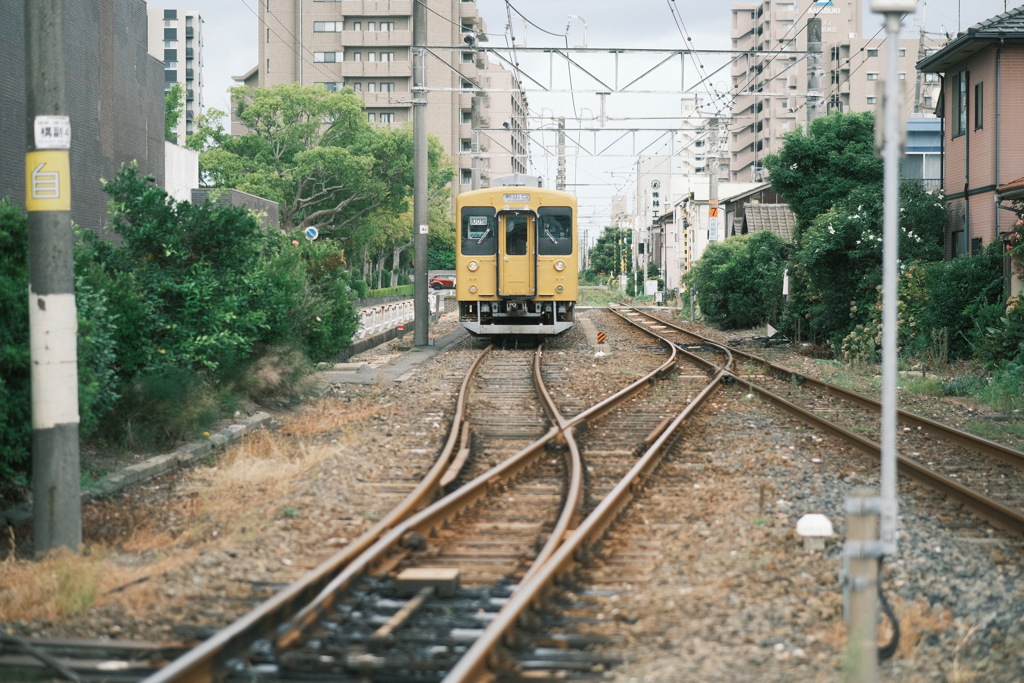 お休み中の黄色い電車