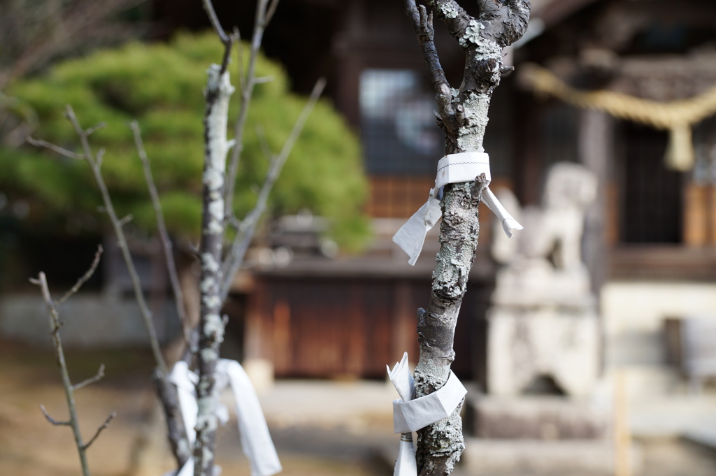 小月神社